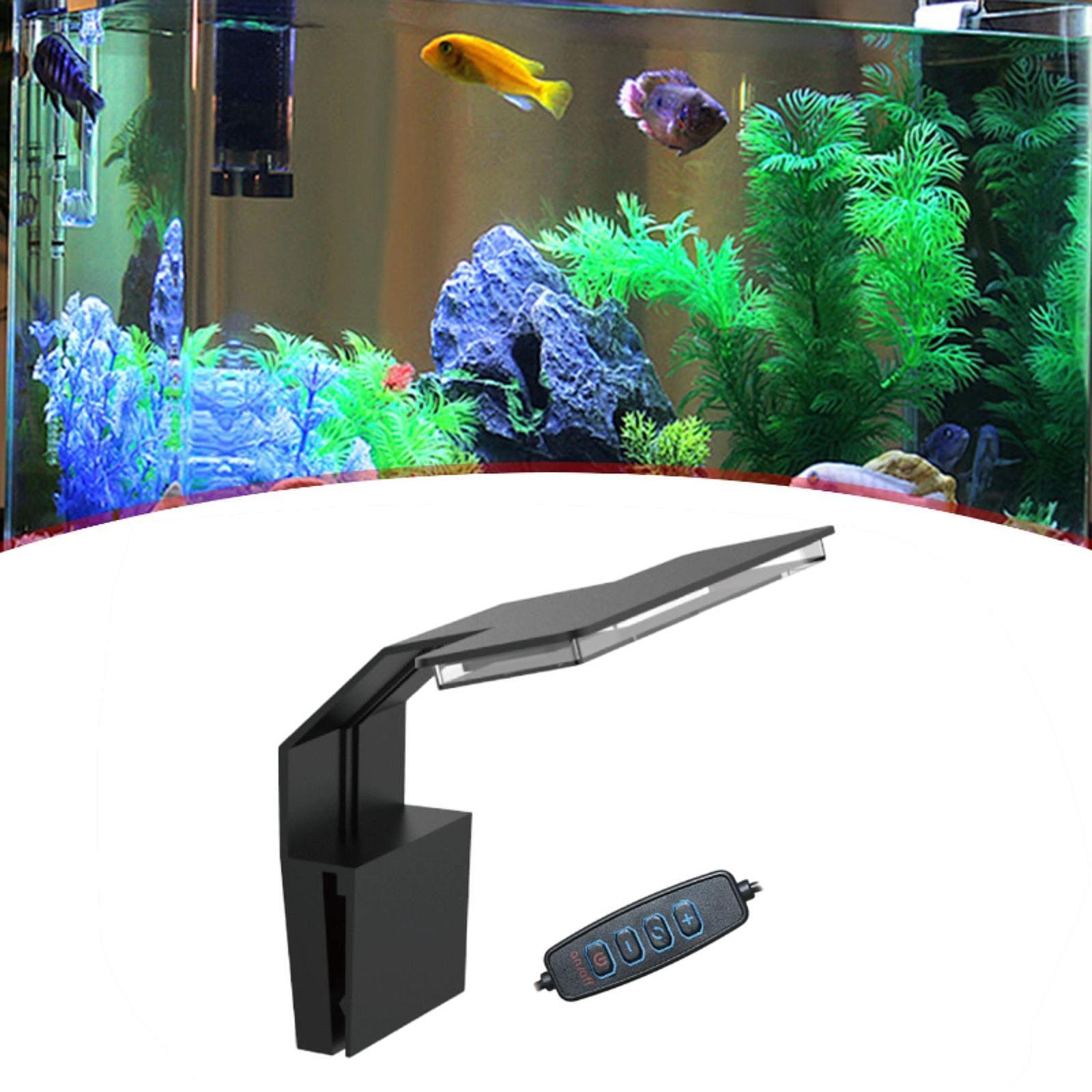 Светодиодный светильник для ак – обзор и цена Aquarium Planted Setup