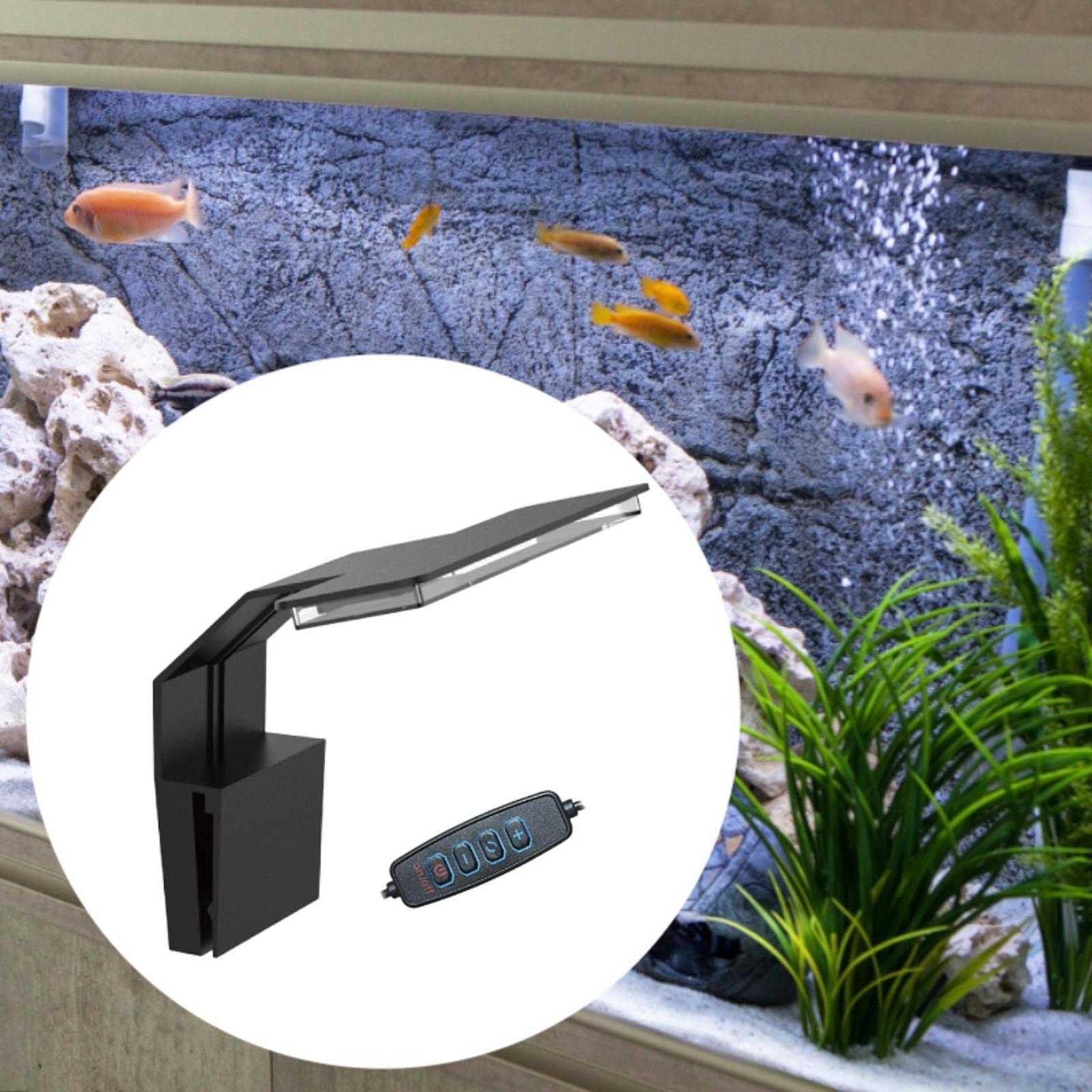 Светодиодный светильник для ак – обзор и цена Aquarium Planted Setup