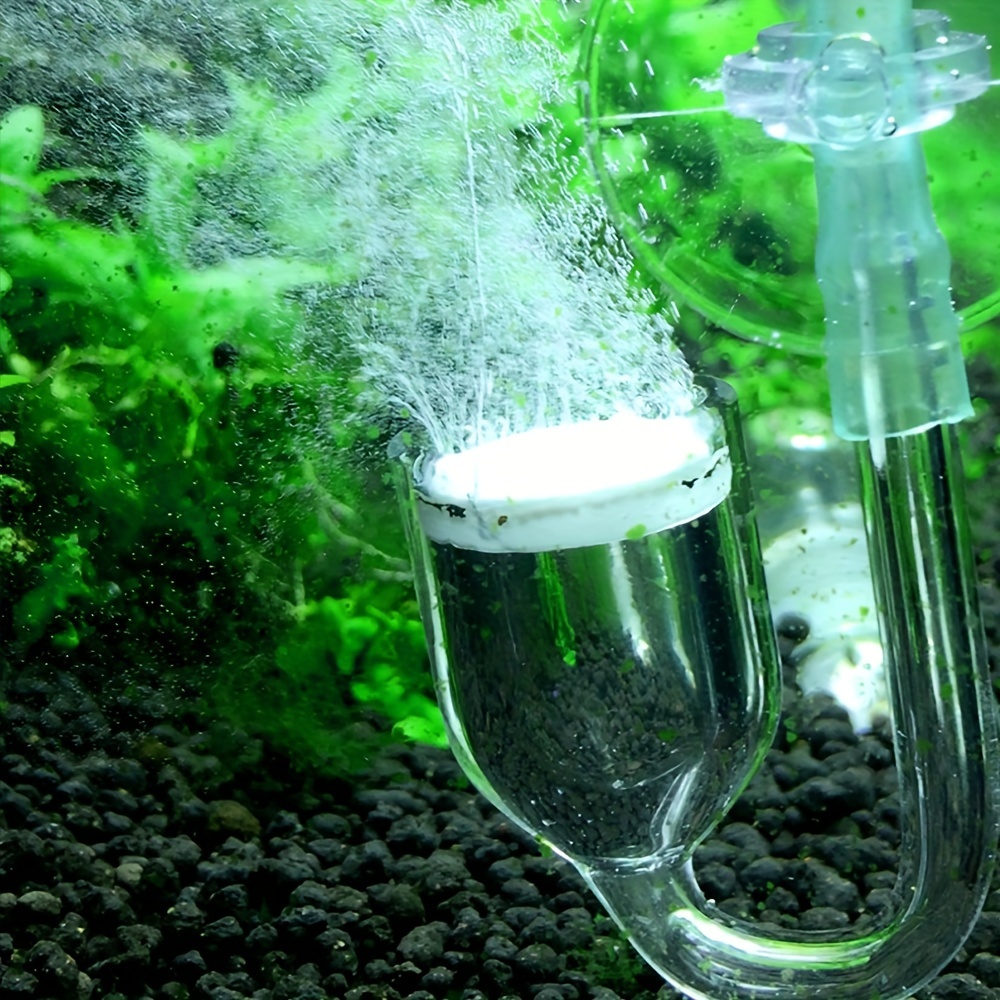 Аквариумный стеклянный распыли – обзор и цена Planted Aquarium Co2