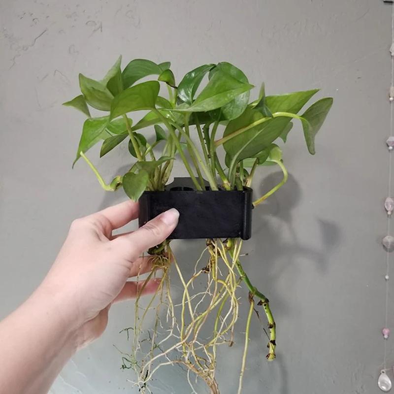 Набор из 1, 2 или 3 шт. подста – обзор и цена Aquarium Planted Setup