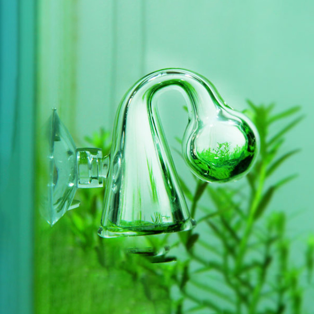Аквариум CO2, диффузное стекло – обзор и цена Planted Aquarium Co2